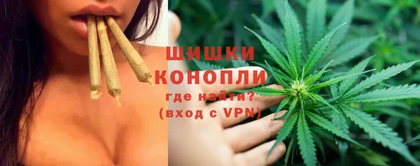 apvp Арсеньев