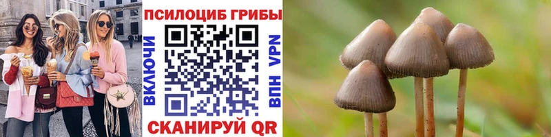 Псилоцибиновые грибы Cubensis  закладка  МЕГА   Баксан 