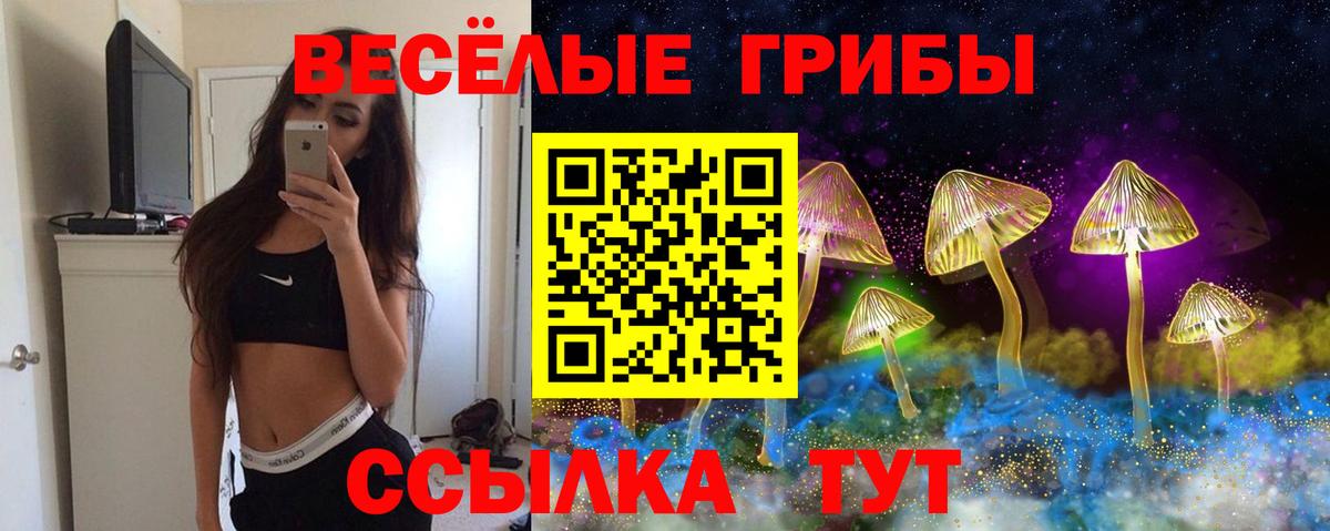 Галлюциногенные грибы Magic Shrooms Баксан